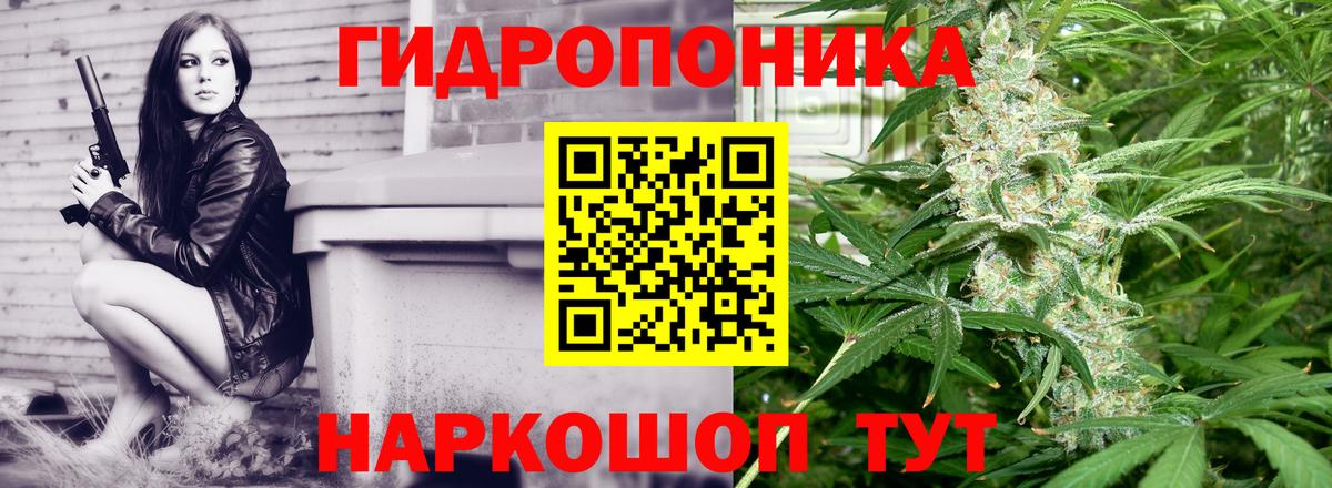 Марихуана конопля Холмск